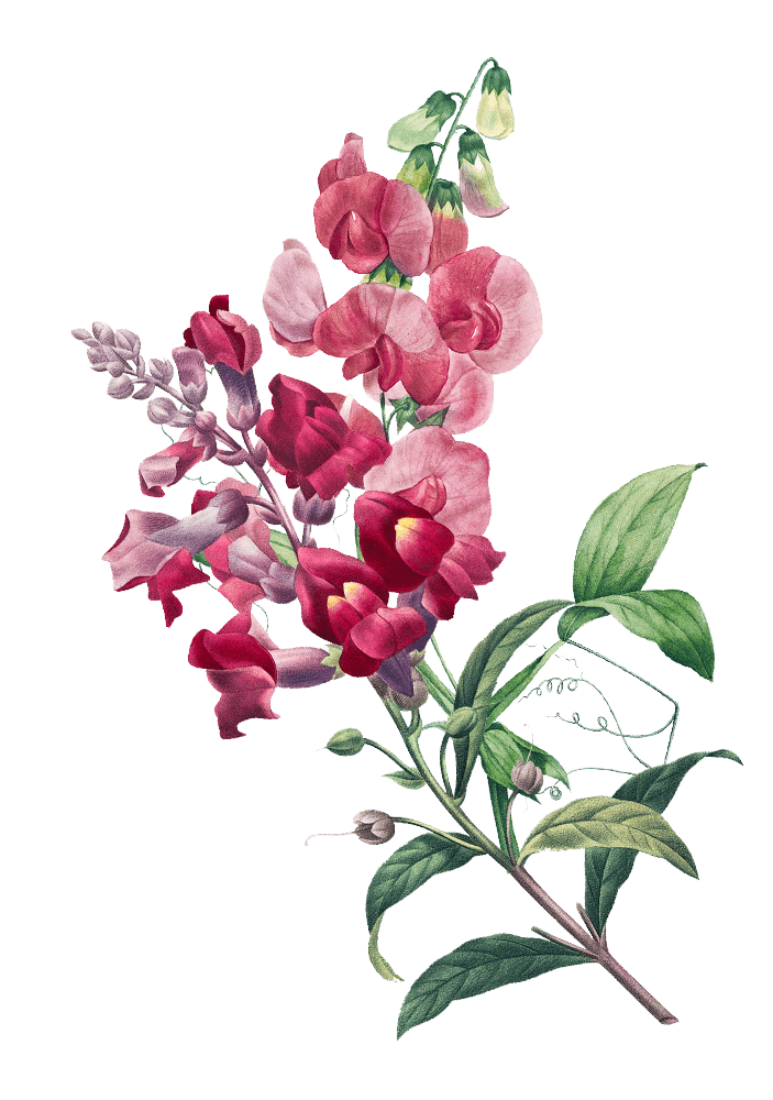 Banjar Couple Depan 1