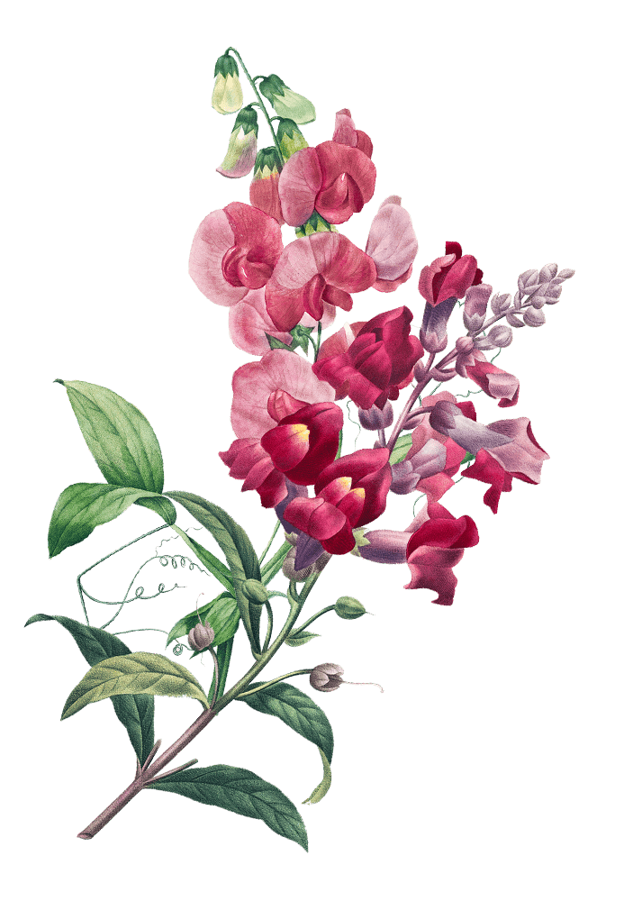 Banjar Couple Depan 2