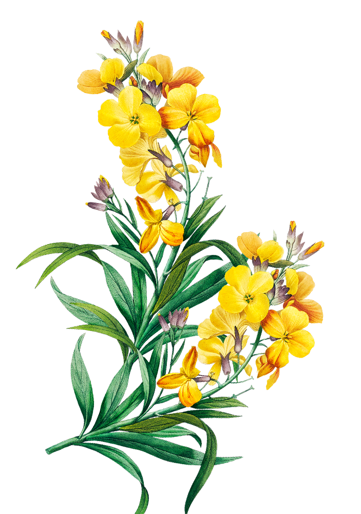 Betawi Couple Depan 1