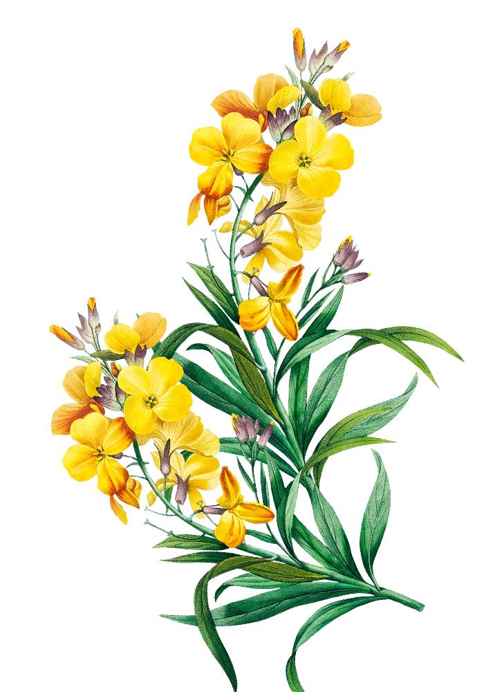 Betawi Couple Depan 2