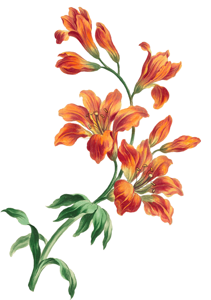 Dayak Couple Depan 2