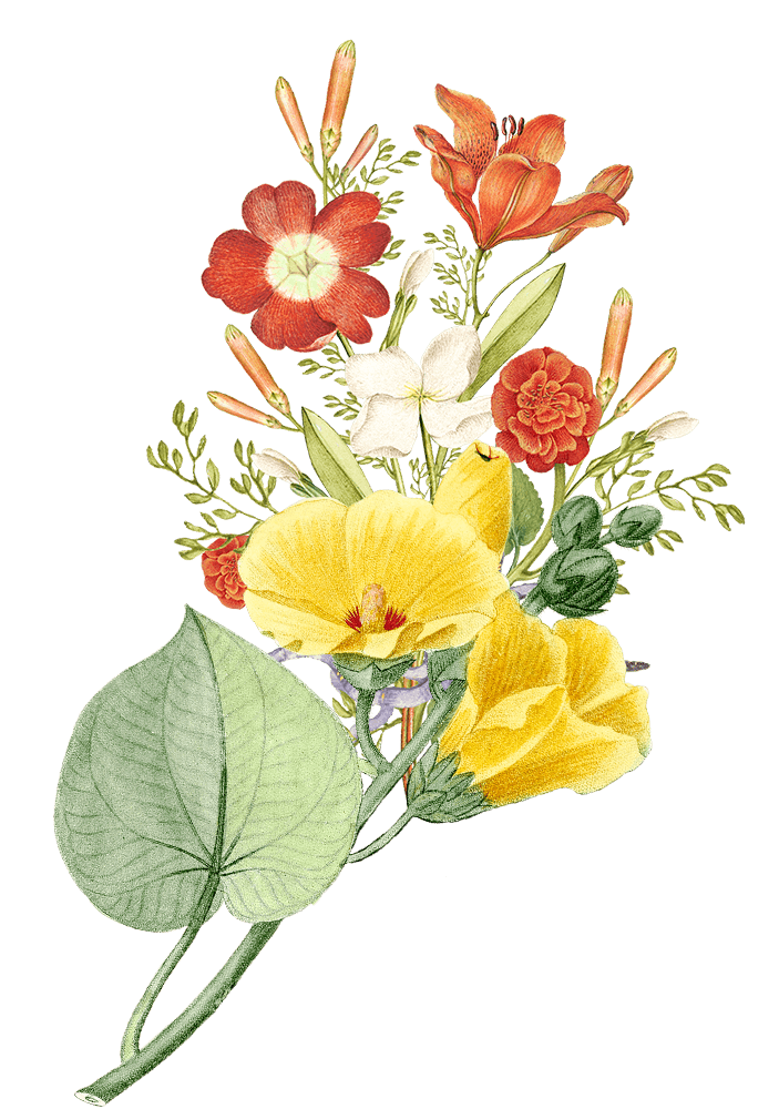 Melayu Couple Depan 2