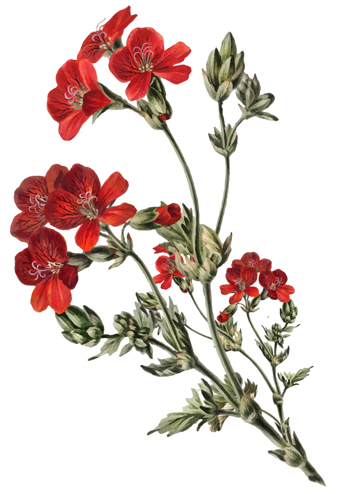 Palembang Couple Depan 1