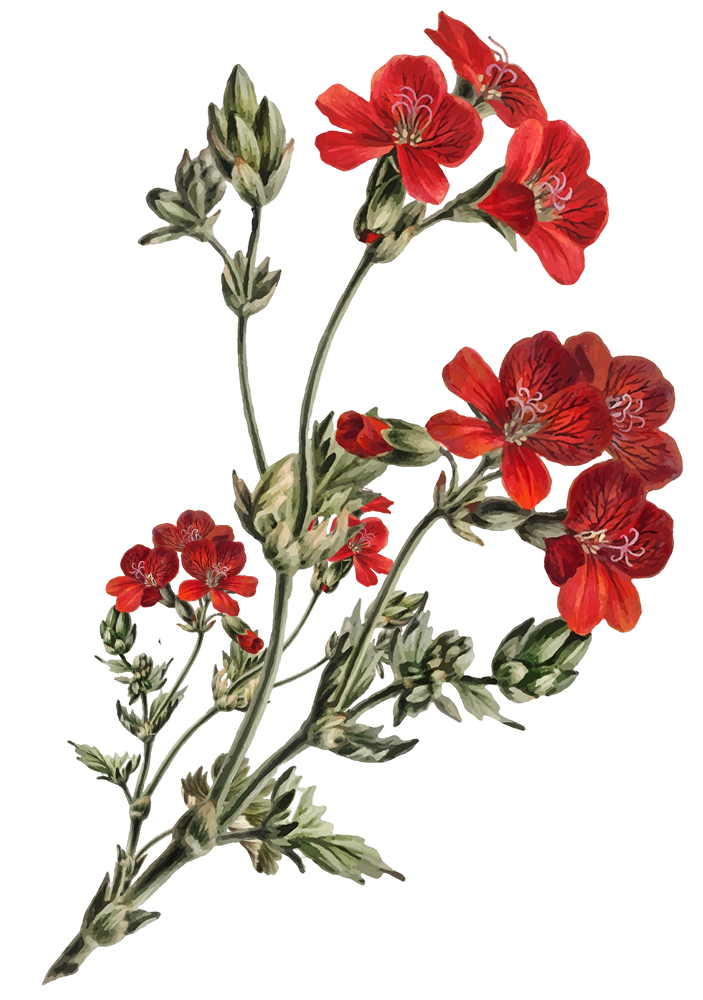 Palembang Couple Depan 2